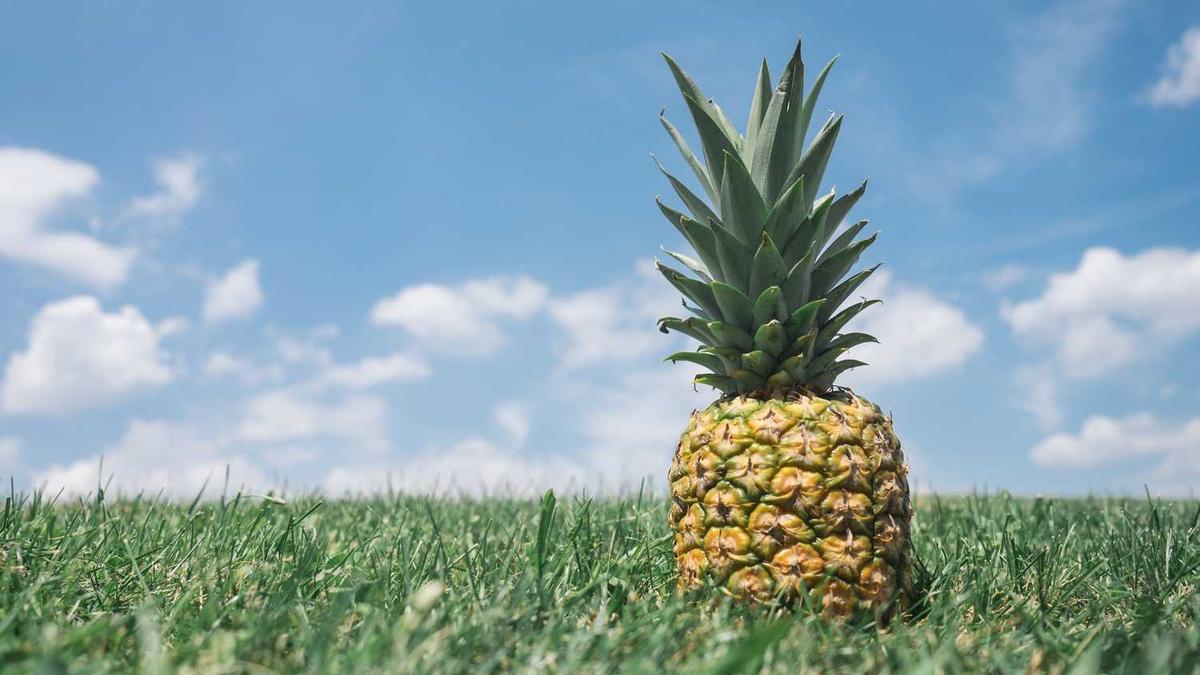 江苏泰州十大特产,全部知道的了不起!