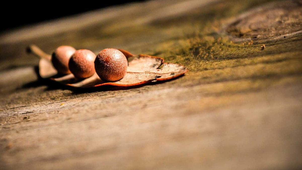 呼伦贝尔民警及时阻止一起冒充警察进行电信诈骗的案件