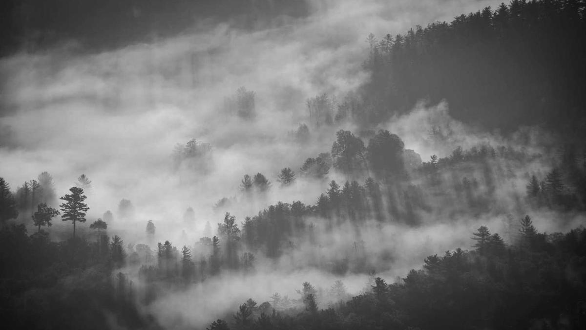 今晚天气预报赣州 汕头天气怎么样