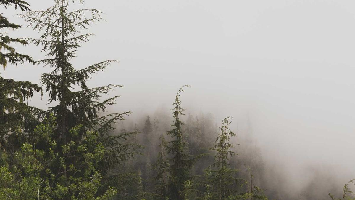 上海有哪些长租好公寓