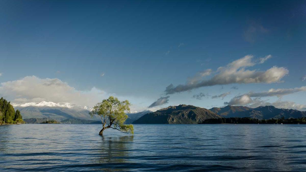 江都氧气的药店地址在哪里