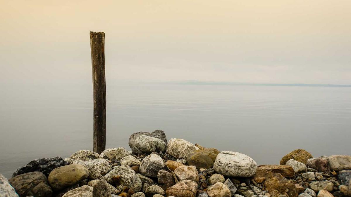 从生命一号到生长激素,聊一聊长春高新的暴跌