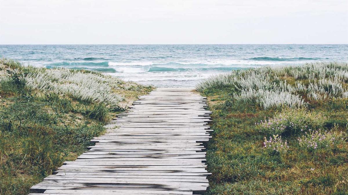 泰安高铁汽车站离泰山景区多远 泰安高铁汽车站怎么坐车到泰山