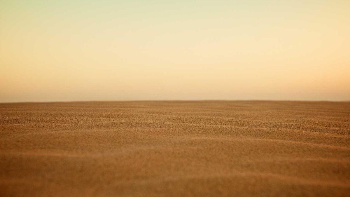 毕节市人民政府领导工作分工调整