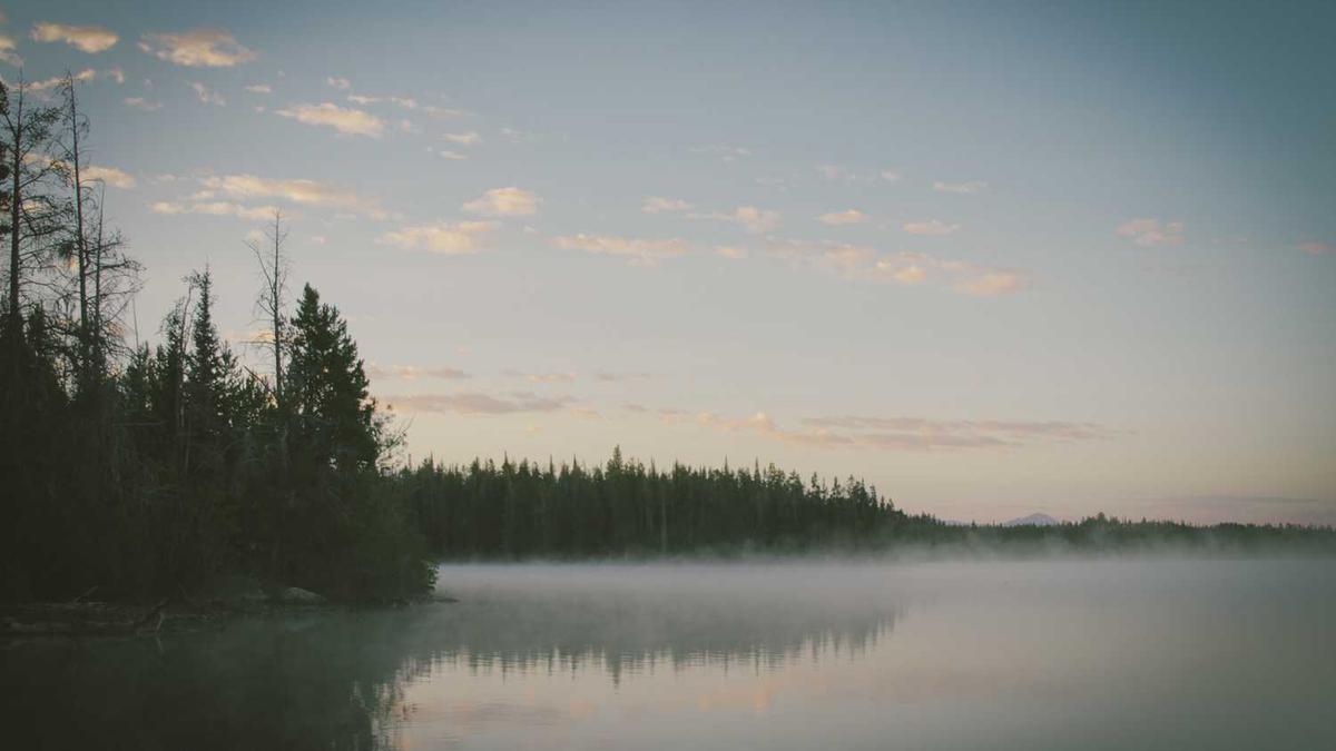 临沂大学有几个校区?