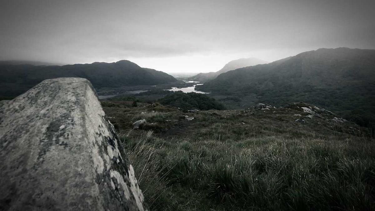 中支玉溪烟多少钱一包 中支玉溪烟价格表和图片