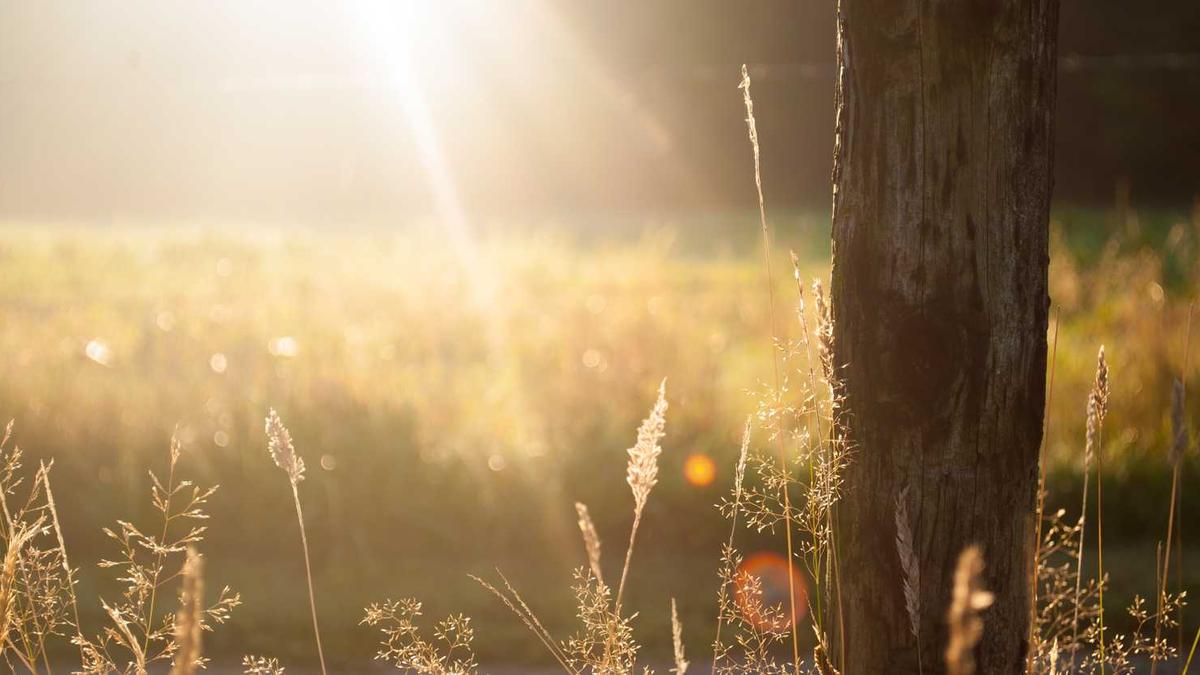 徐州冬天最冷的时候气温是多少度?