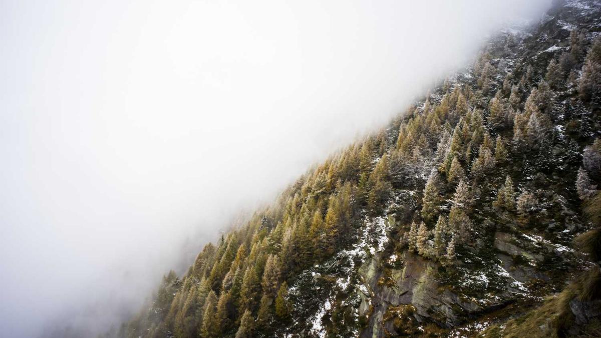 宁德为什么不能贷款