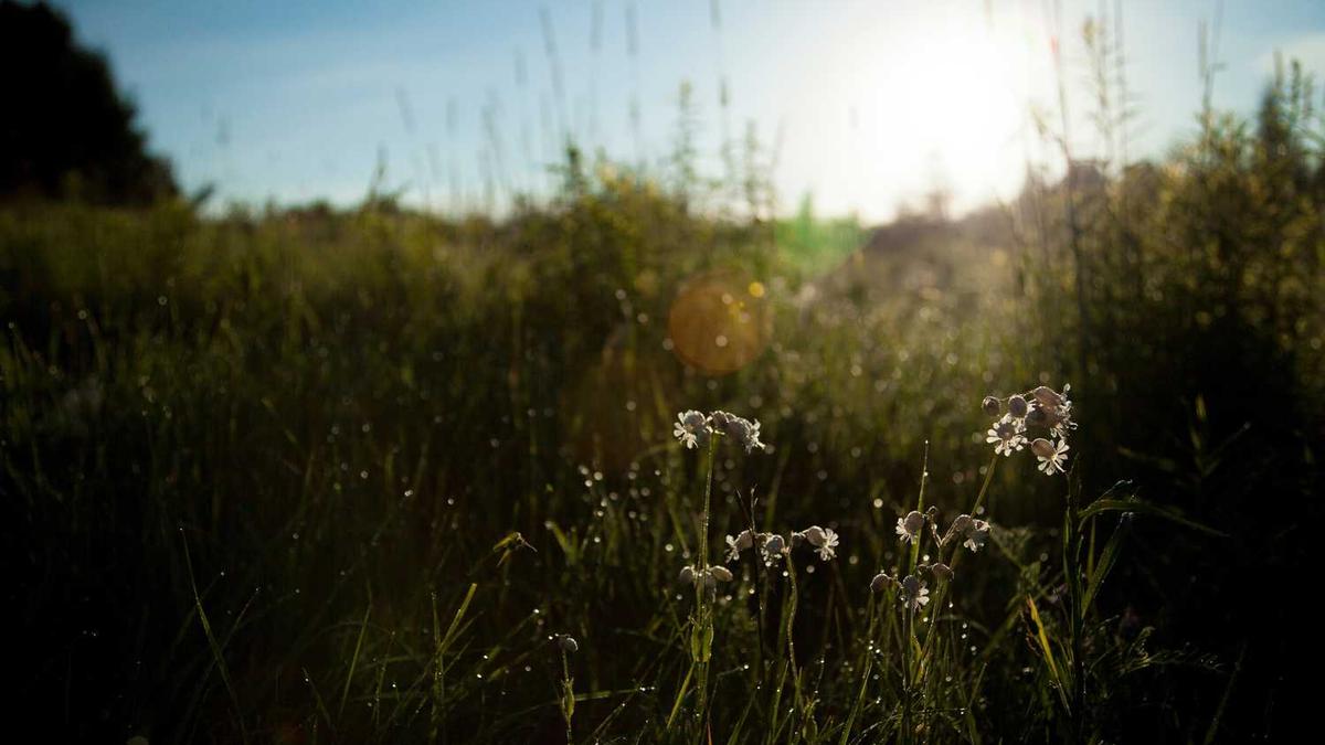 温州旅游攻略必去景点