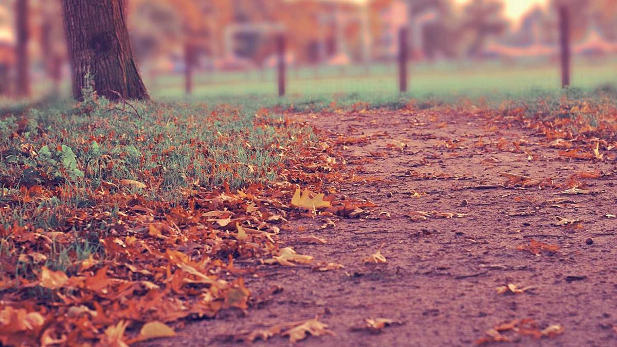 “云会议”推动业务工作有序推进