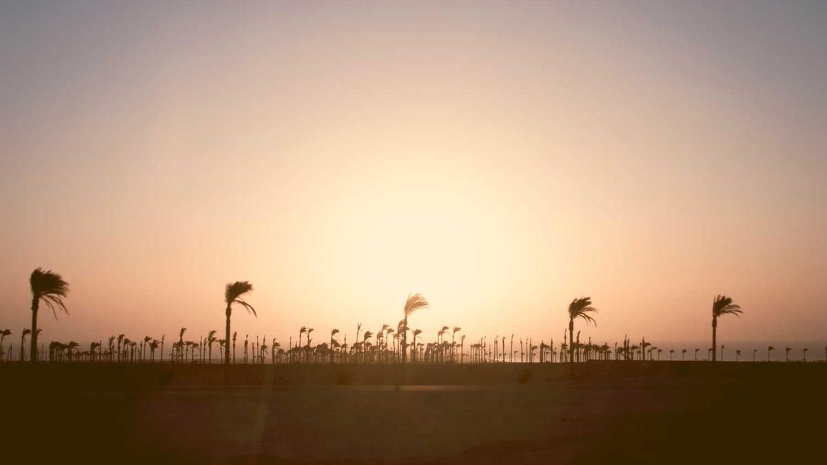 刘涛爆猛料,疑似“出轨”坐实,贤妻良母人设崩塌,你怎么看?