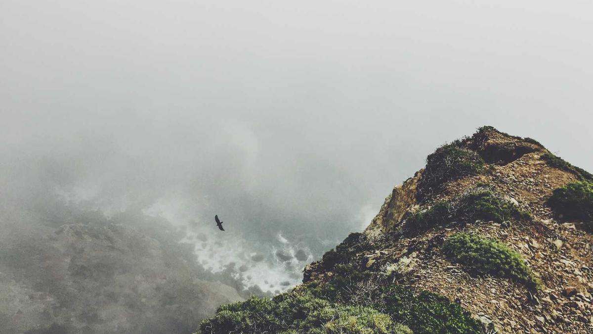 淄博几号供暖2024