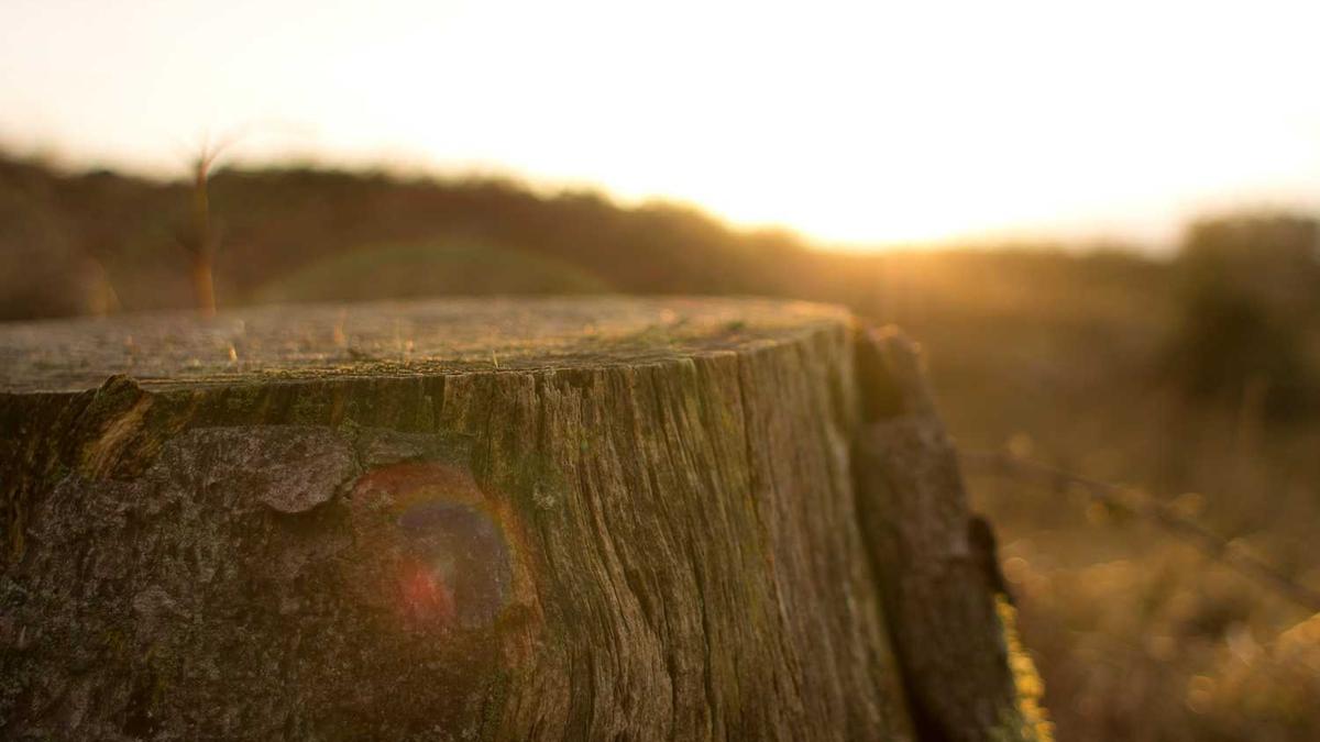 周口旅游交通地图(周口旅游攻略景点大全)