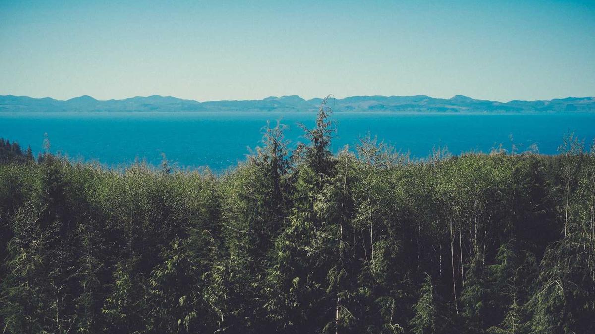 为什么鄂尔多斯羊绒衫这么贵,和其他羊绒衫有什么区别?