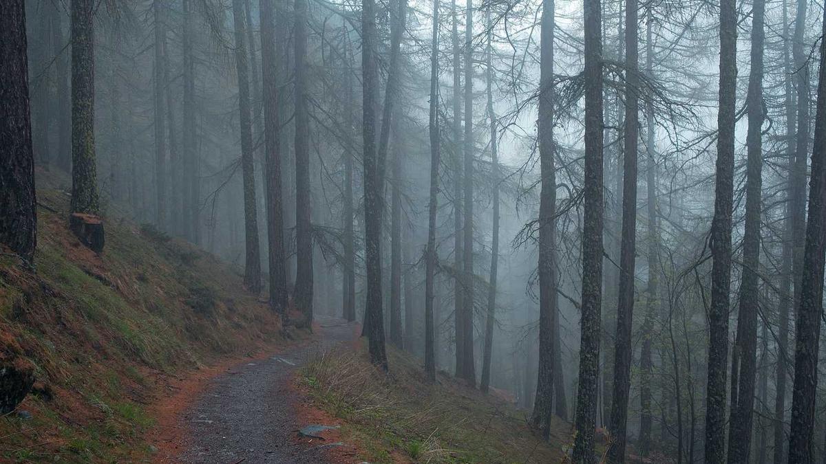 重庆交通大学有哪些学部学院