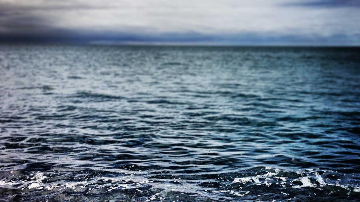 日照王家滩天气预报