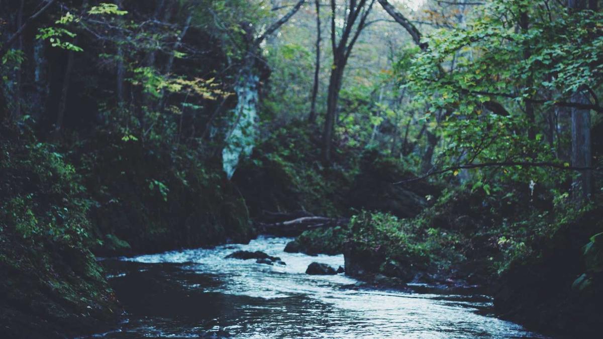 长沙惠然信息咨询是啥