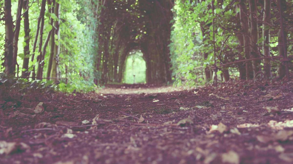 环保匿名举报会受理吗