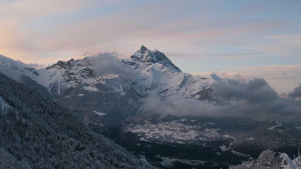 按个摩app有没有其他什么服务?