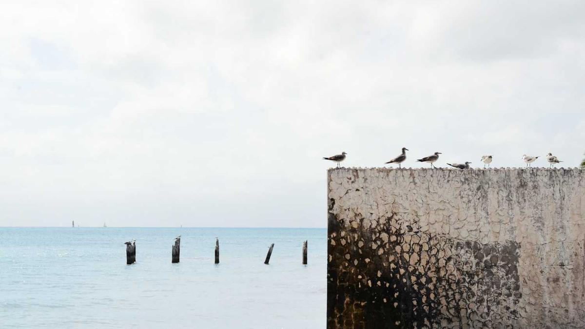 上饶市属于哪个省市