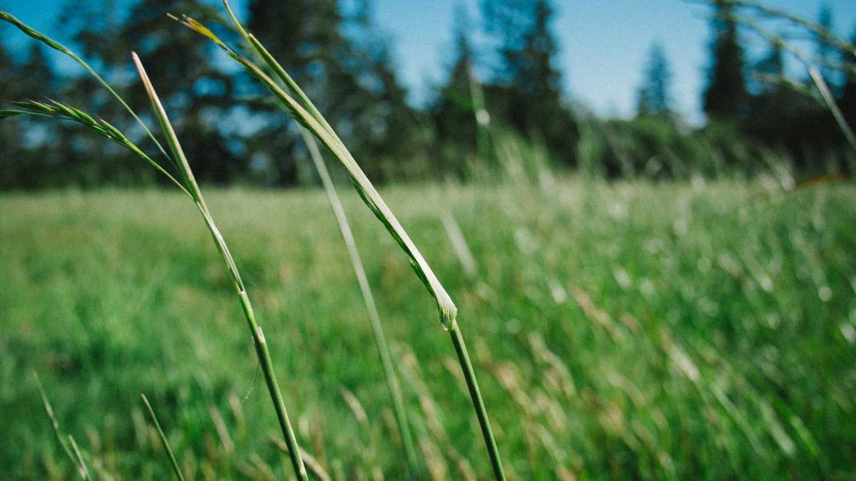 冷空气强势南下 长三角多地降温超20℃“一键入秋”