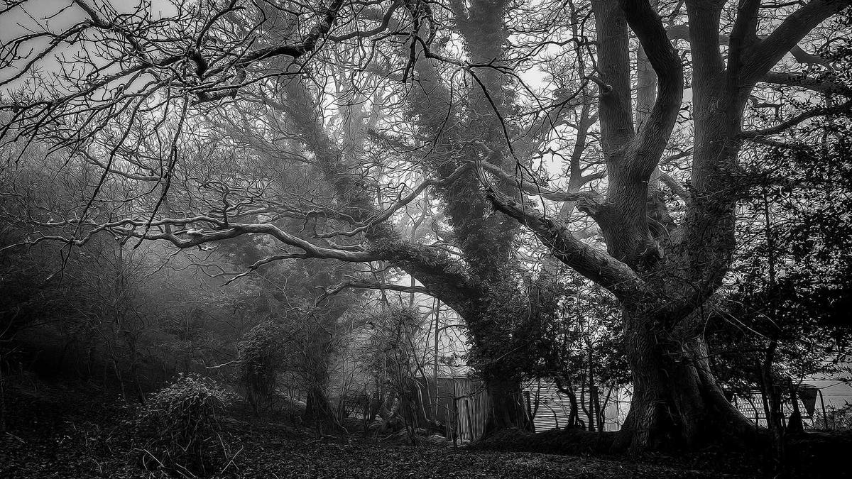 必去的国内十大最美海滩