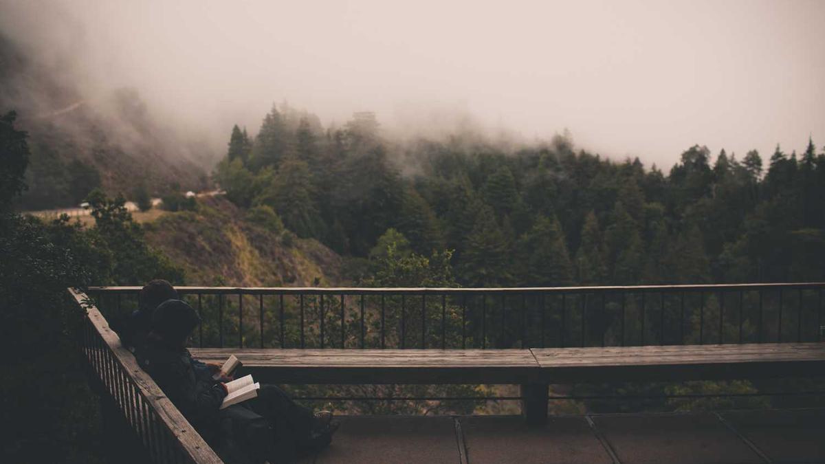 我应该什么时候参加去舟山的旅游