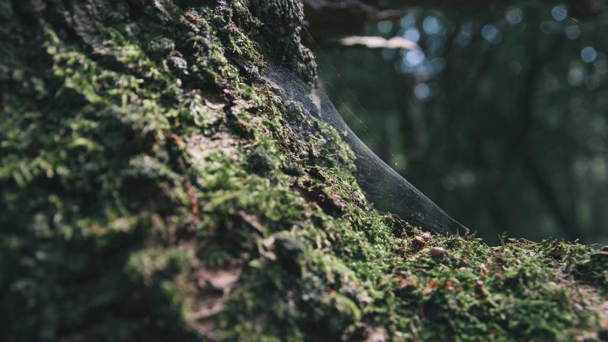 呼伦贝尔职业技术学院学费多少