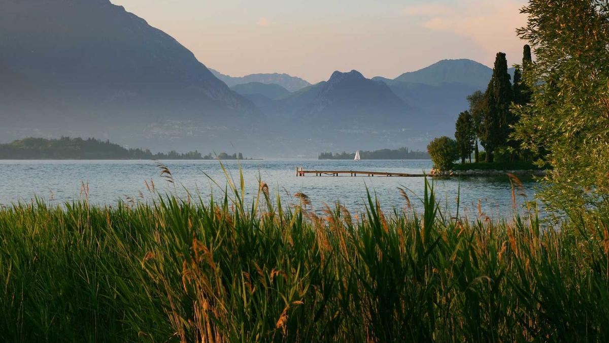 郭店高速路口是否封闭