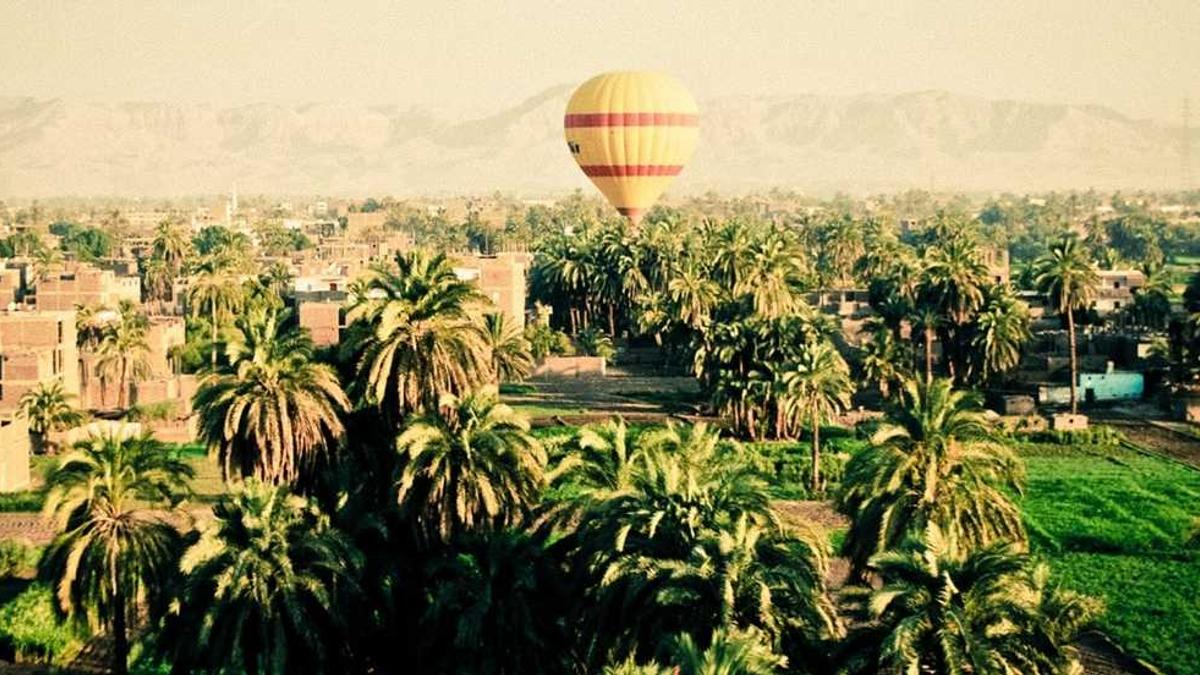 温州一家人结局