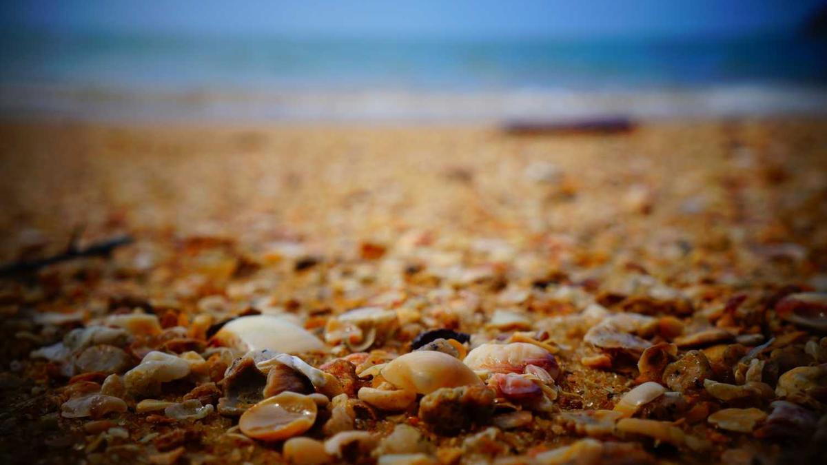 黄清凯个人资料