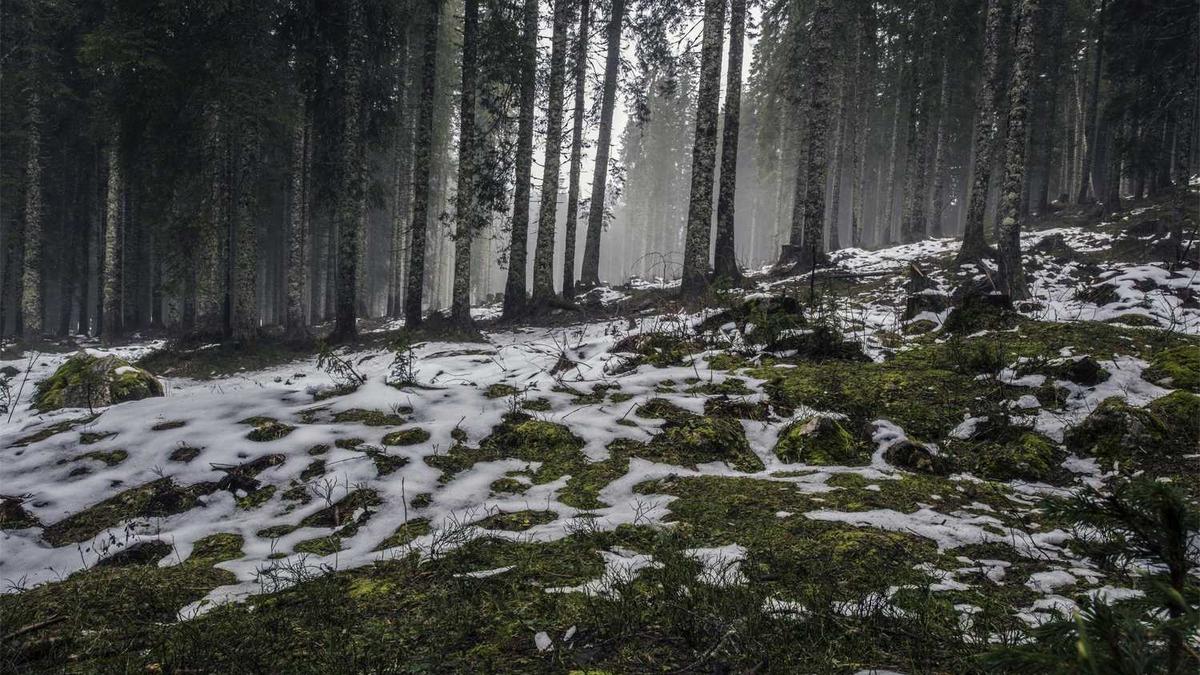 千万别在防城港买房子原因 去防城港定居的利弊