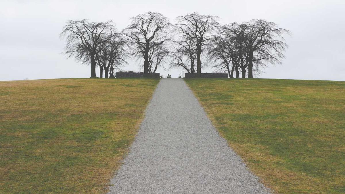 芜湖职业技术学院师资力量怎么样?