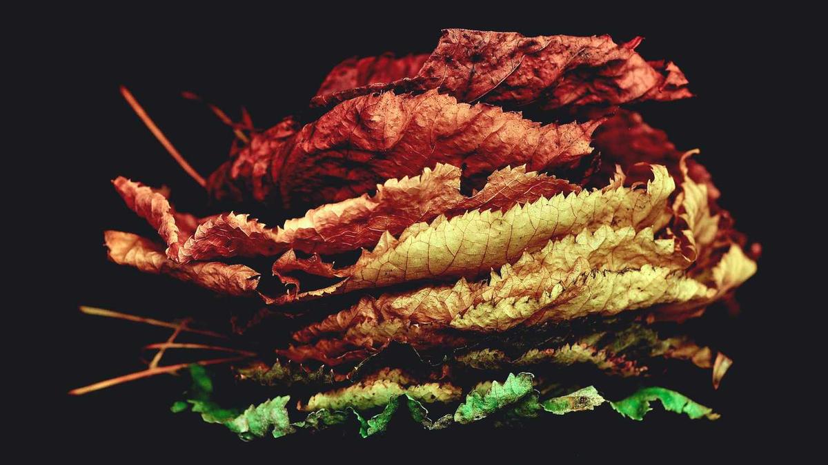 我对象在吉林白城家是海口的。请问坐火车的路线怎么坐省钱还快。知道...