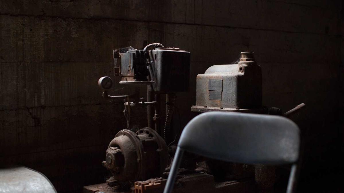 深圳潮玩展都有哪些品类？