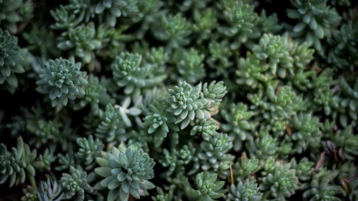 中国有多少地级市及所辖区县数量