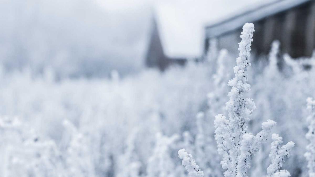 35岁女生,独居上海350平米房子是什么体验?