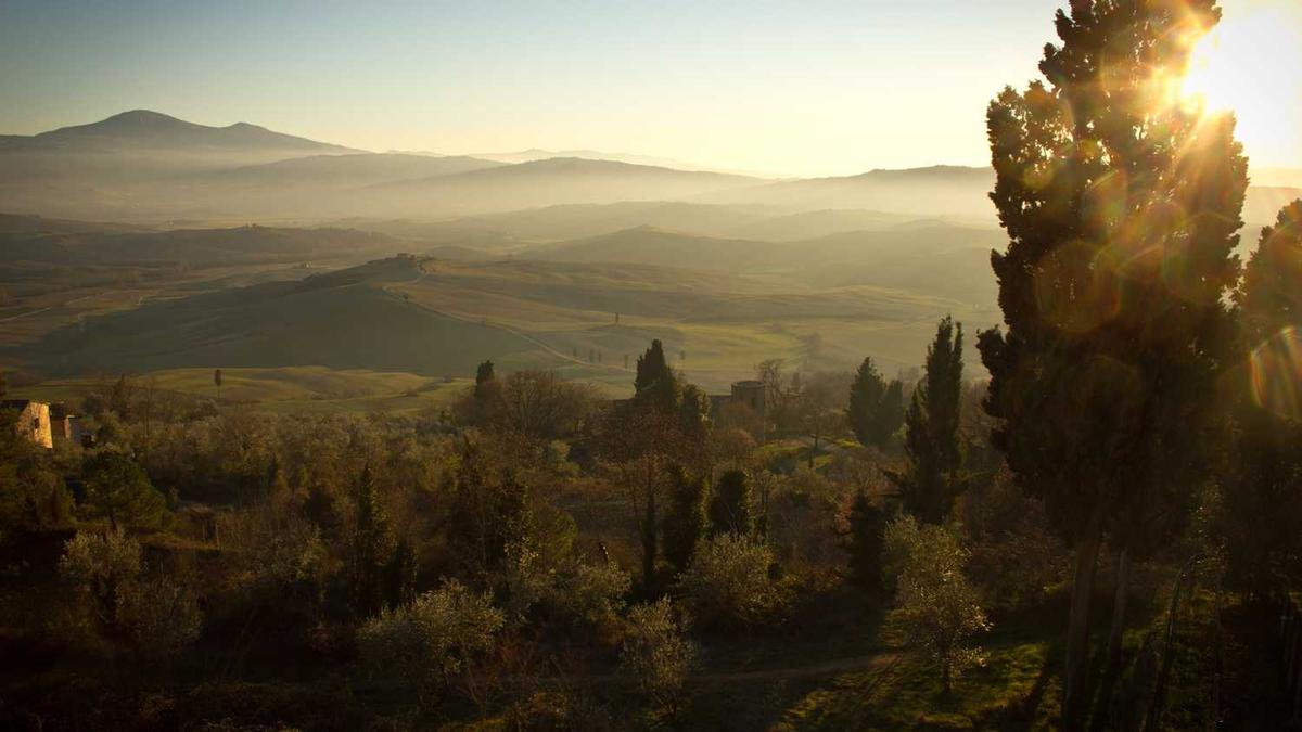 肇庆户口可以在佛山买农村医保什么时候收费的