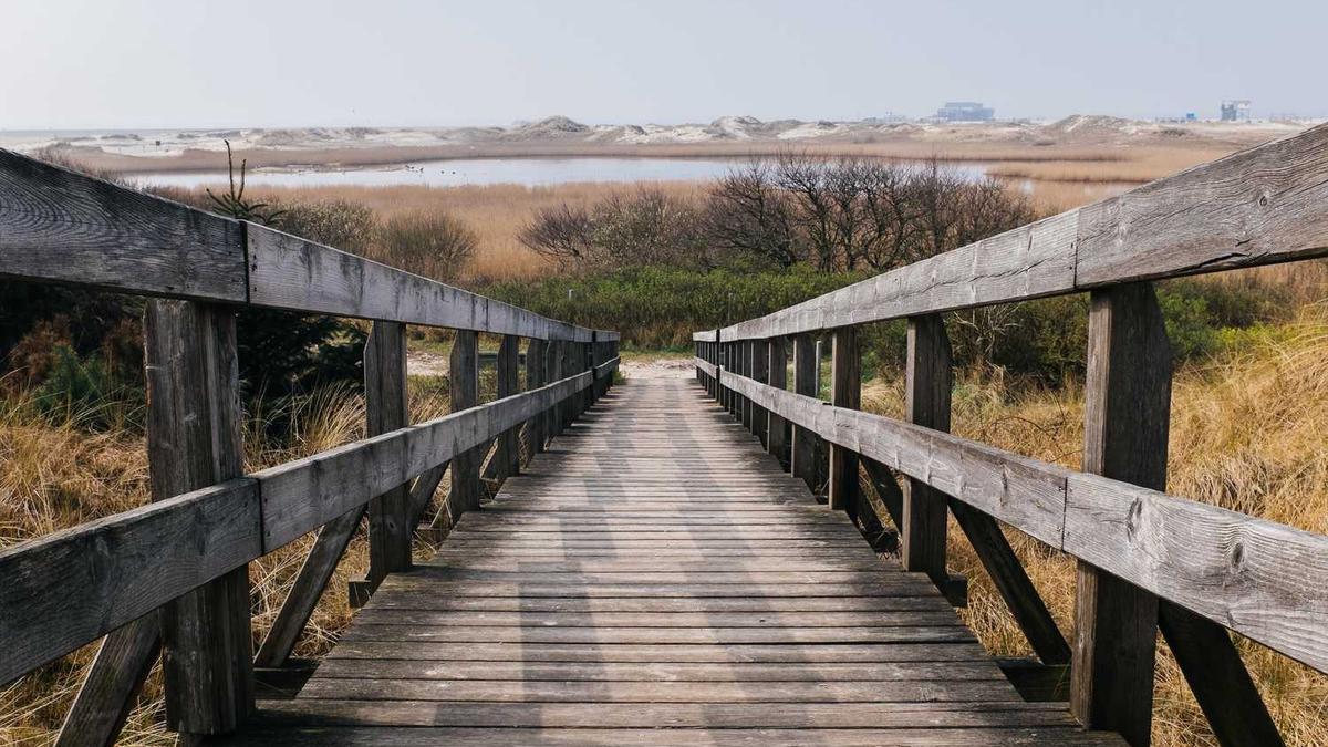 佛山 什么时候买医保