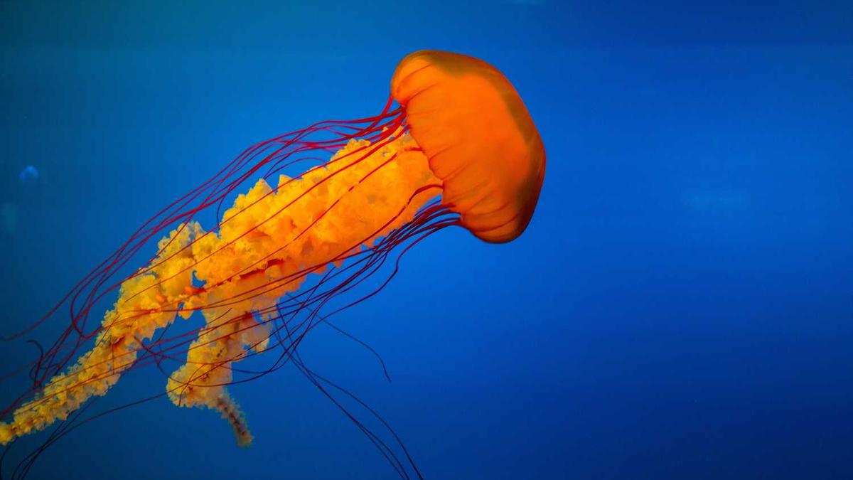 邵阳工业技术学校2025招生分数