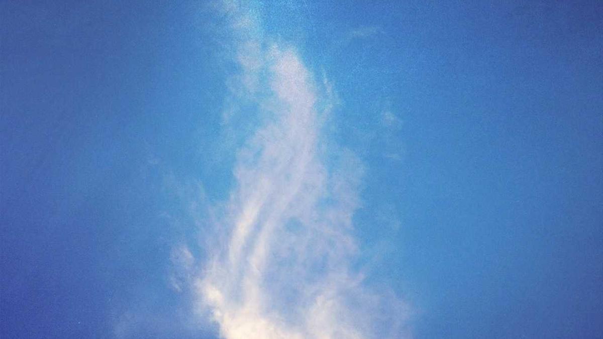 ...别对我说谎)里的Forster博士的丈夫是真的有外遇吗?