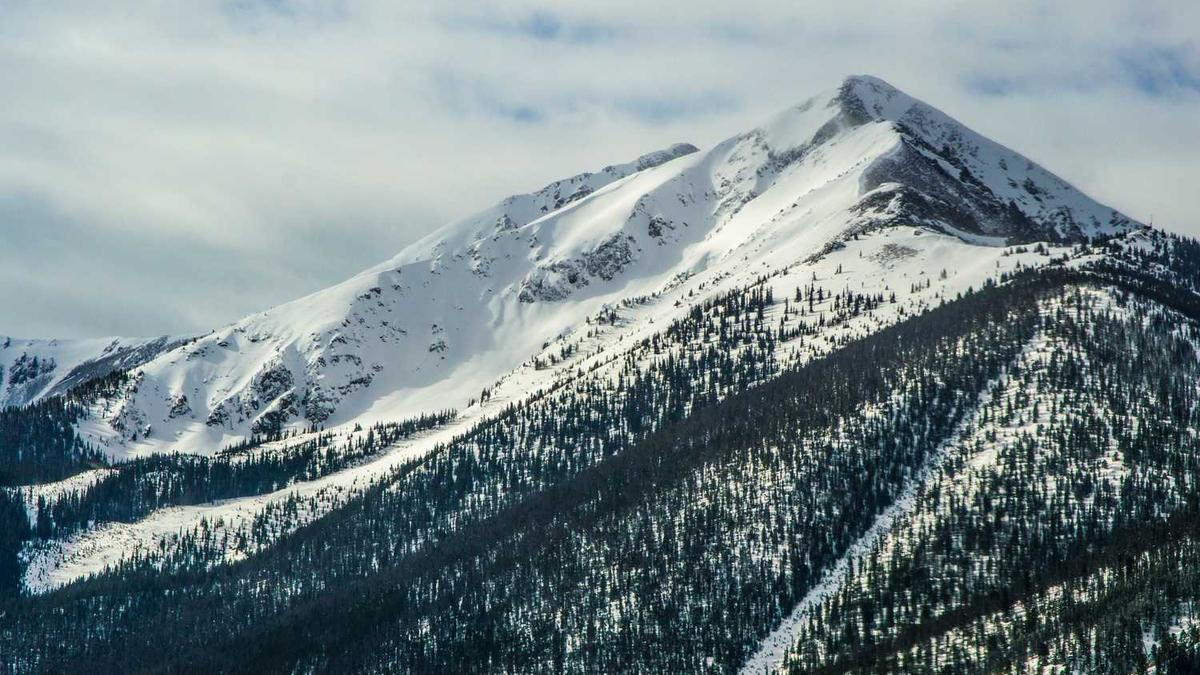 临沂市人口总数2024年是多少万