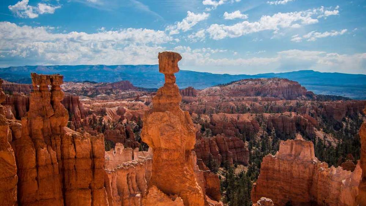 手术治疗肝癌的方法有哪些?