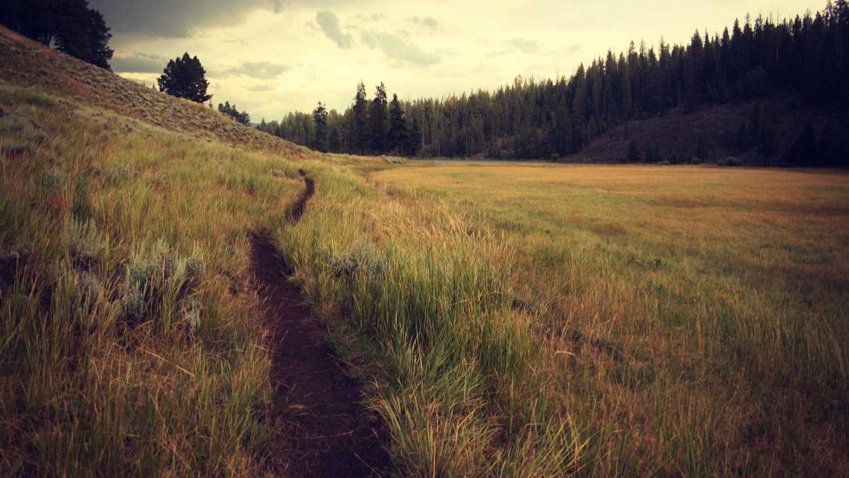 2026考研预报名时间