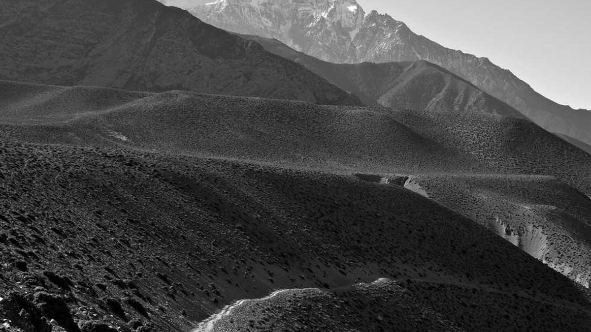 海花岛最坑人的三个地方