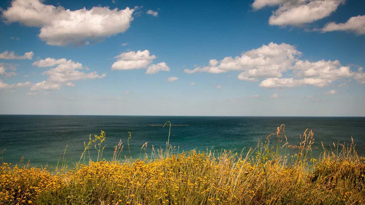 嘉兴各县市经济发展“成绩单”!GDP、人均可支配达...