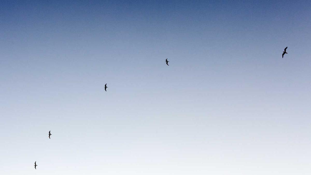 德州农工大学相当于国内哪所大学