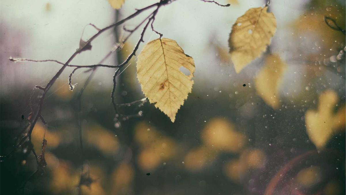 华东大省近期密集人事调整结果如何?