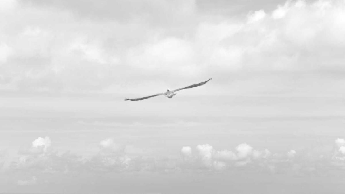 台风江门高速路会封闭吗