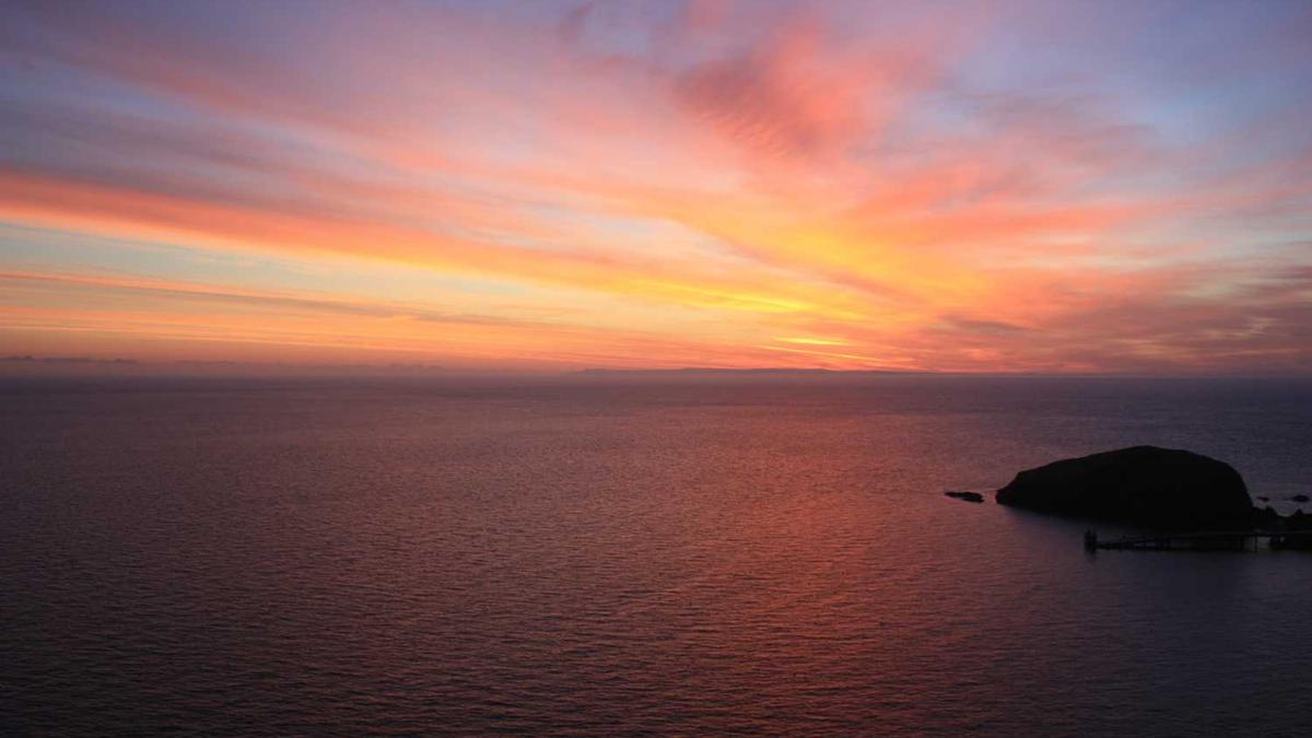 朋克美美属于哪个汽车旗下?